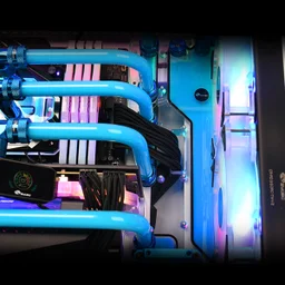 90870_thucte_custom__1_.jpg 1