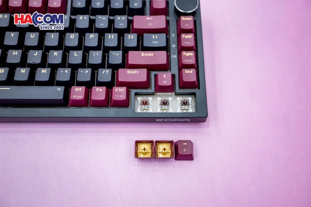 78069_ban_phim_co_gaming_edra_ek375_alpha_brown_switch_usb_pbt_led_rainbow_09.JPG 3